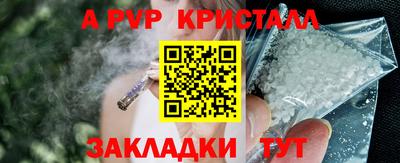 гидра Рязань